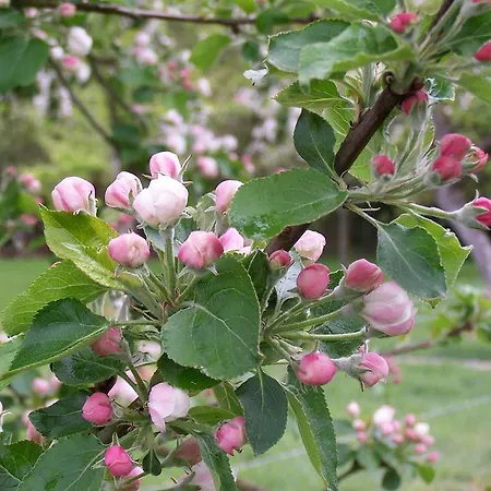 Holiday home Les Roulottes De La Risle *