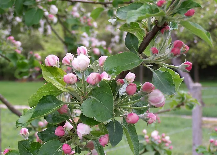 Holiday home Les Roulottes De La Risle *